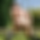photo de