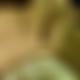 photo de gege90000