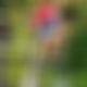 photo de dav5962