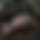 photo de phile