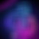 photo de max15