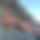 photo de alpha29