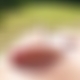 photo de alpha29