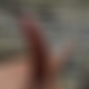 photo de alpha29