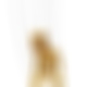 photo de 