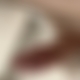 photo de tatou420