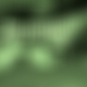 photo de imentv