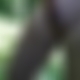 photo de jj57
