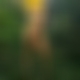 photo de phil6677