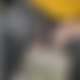 photo de LOUPINO