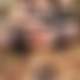 photo de exhibdoggingdu1