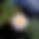 photo de cielbleu