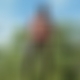 photo de angela69