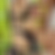 photo de milfjennifer