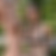 photo de milfjennifer