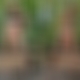 photo de milfjennifer