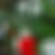 photo de