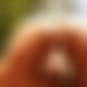 photo de oiseau03