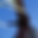 photo de