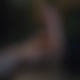 photo de forplay45