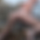 photo de chaton