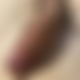photo de lb24