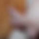 photo de belltige