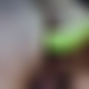photo de chacal60