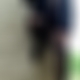 photo de travie