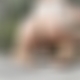 photo de cocolecoquin