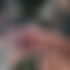 photo de bioman33