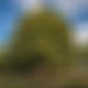 photo de bibidu12