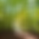 photo de bibidu12