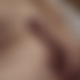 photo de coq44