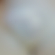 photo de ptizizi