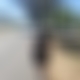 photo de cple4064