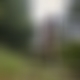 photo de reelactif