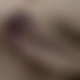 photo de jerom8