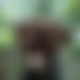 photo de erosdu11