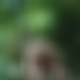 photo de erosdu11