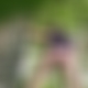 photo de hbi87260