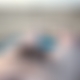 photo de chauchau24