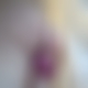 photo de roro6303