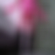 photo de cumslut