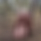photo de transex