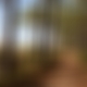 photo de solo3817