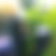 photo de couple75m