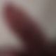 photo de gege02140
