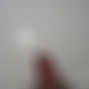 photo de barbu