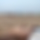photo de matchris13